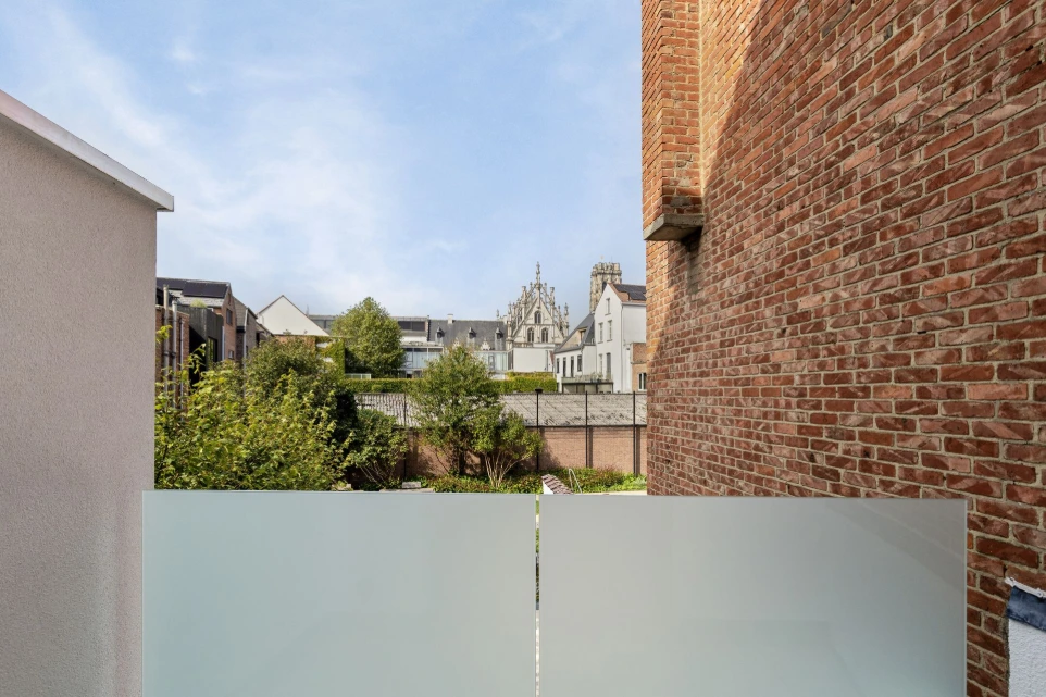 renovatieproject Mechelen