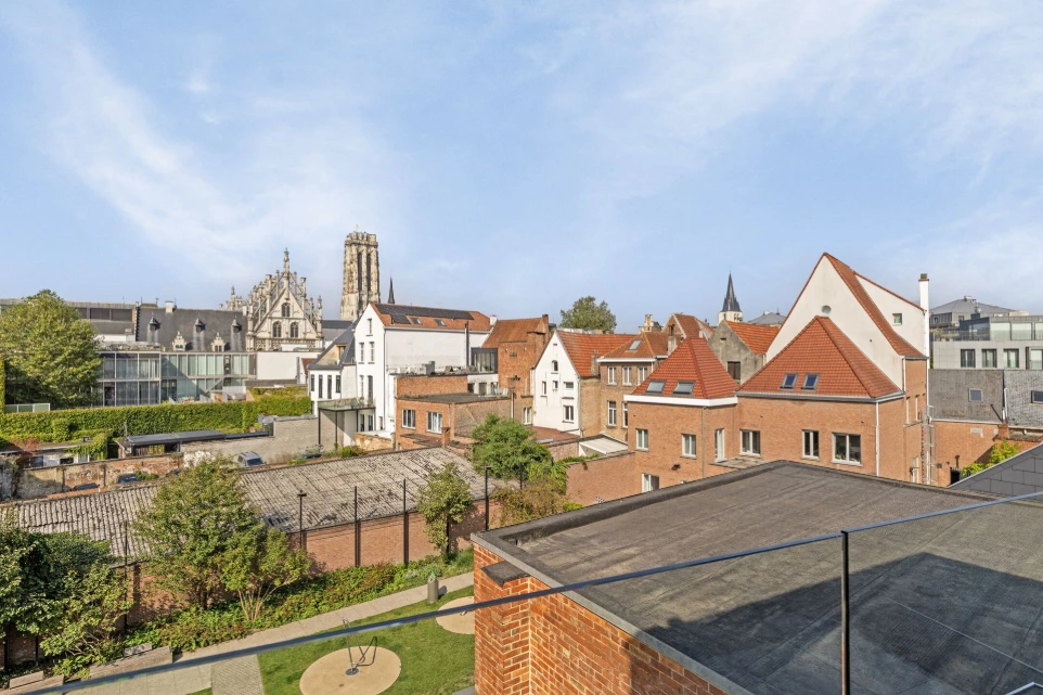 renovatieproject Mechelen